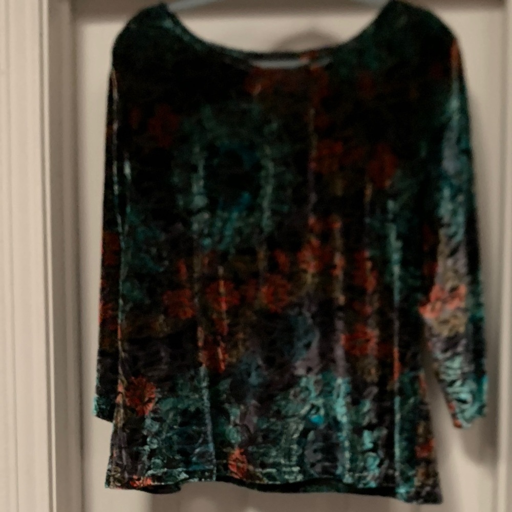 Coldwater Creek Multicolor Velvet Blouse